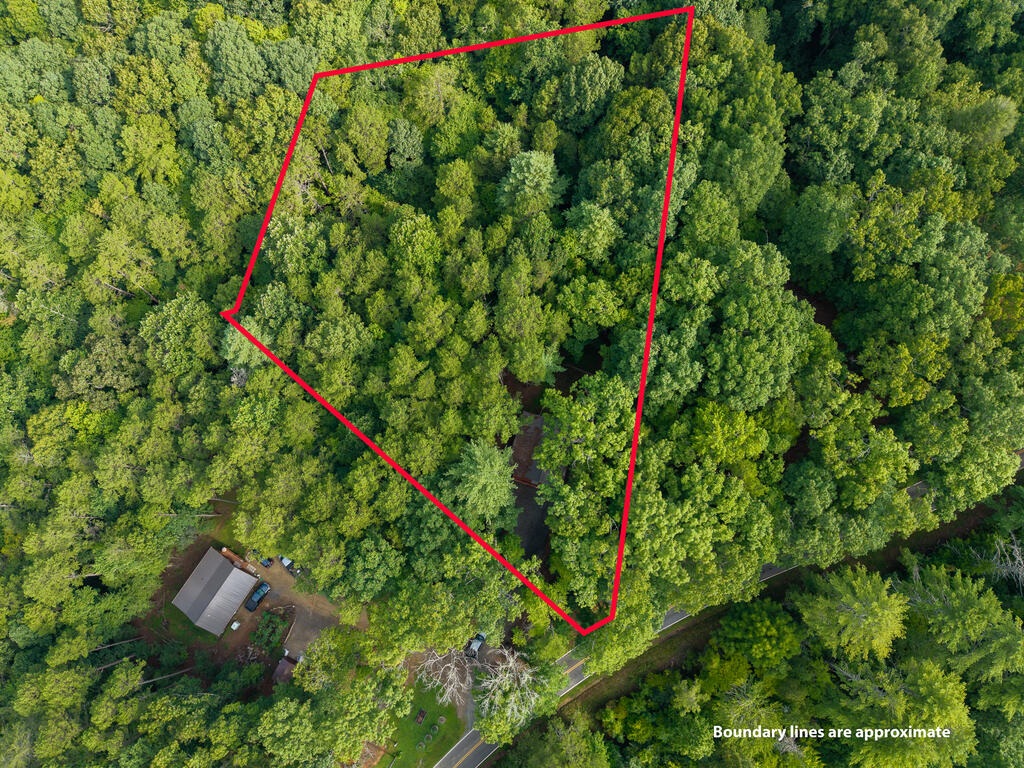 40 Lynae Lane Property Photo 5