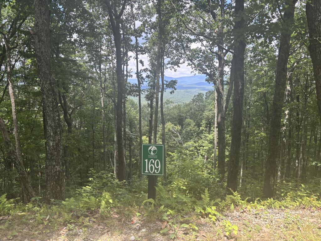 0 Wilderness Creek Way Property Photo 1