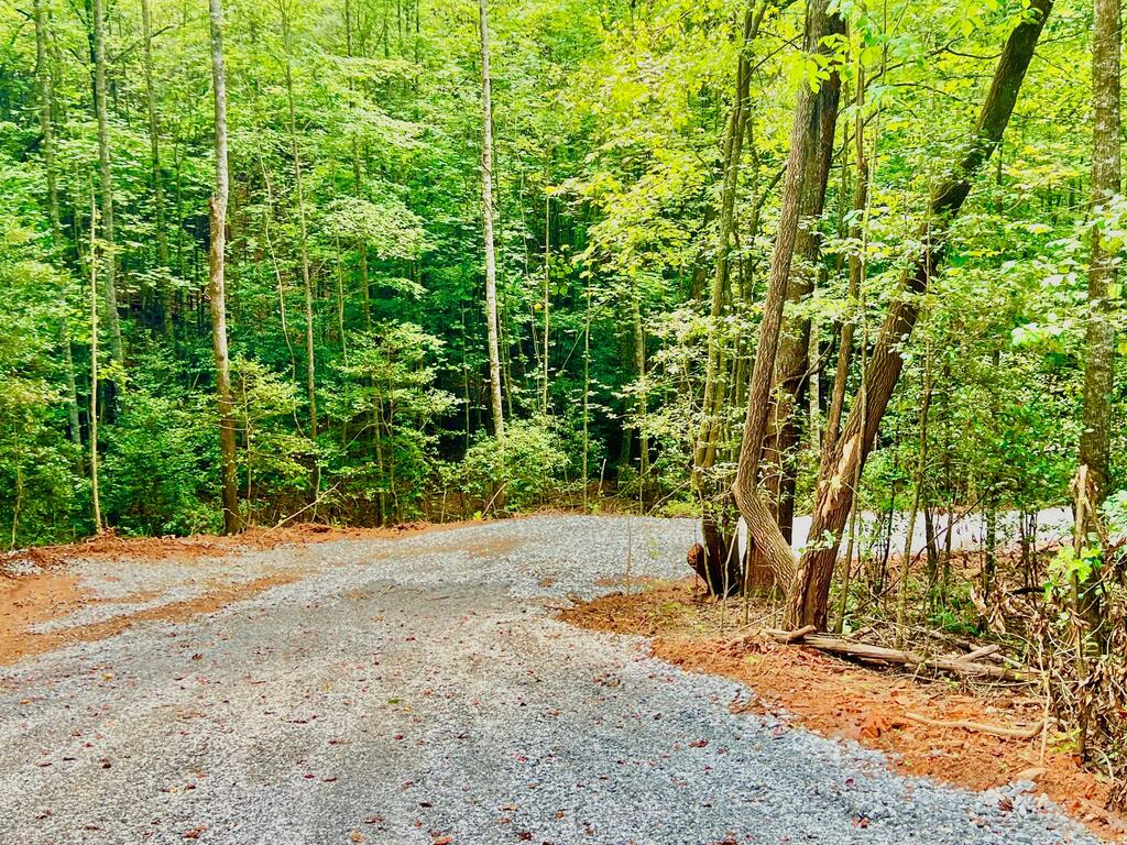 #2 Afton Road