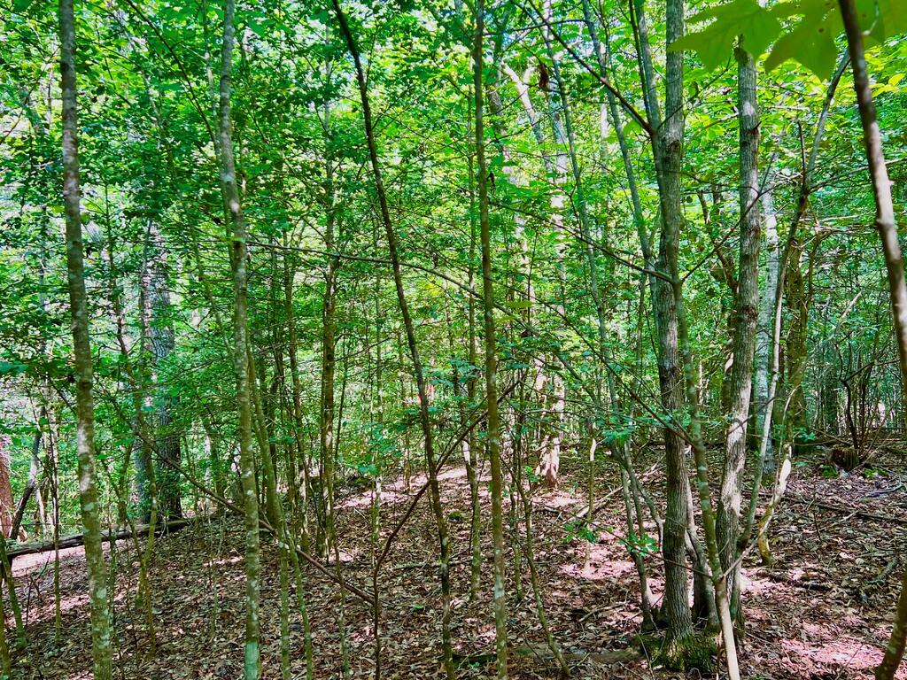 #2 Afton Road Property Photo 3