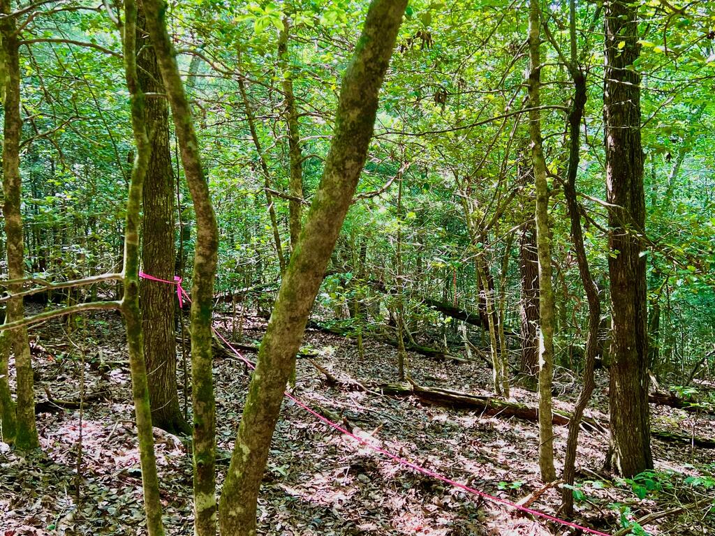 #2 Afton Road Property Photo 6