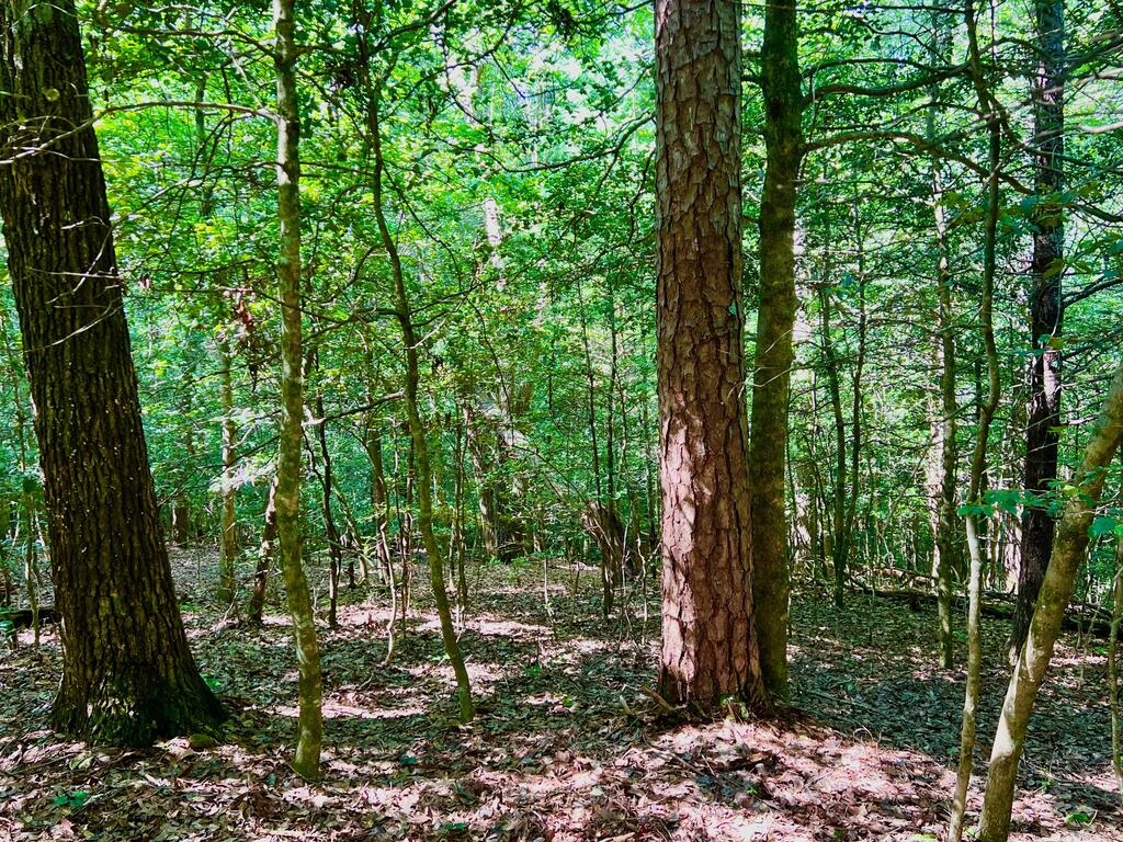 #2 Afton Road Property Photo 7