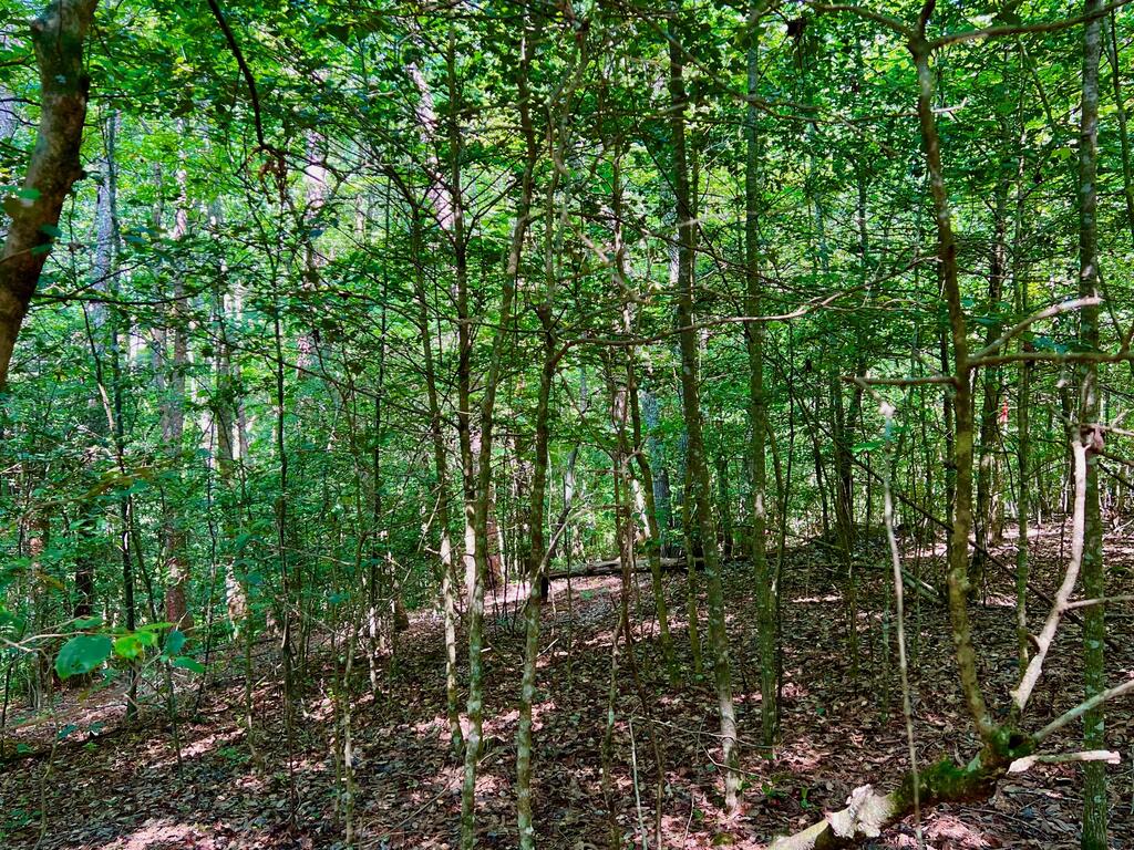 #2 Afton Road Property Photo 10
