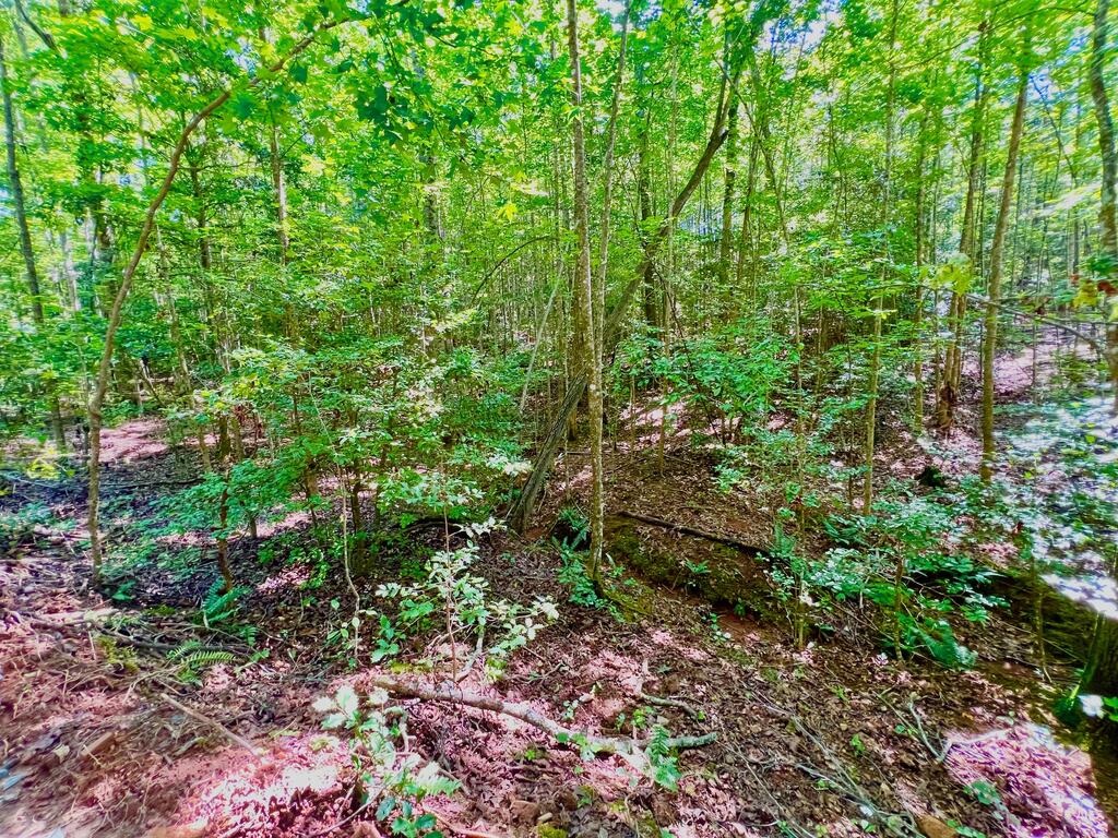 #2 Afton Road Property Photo 13