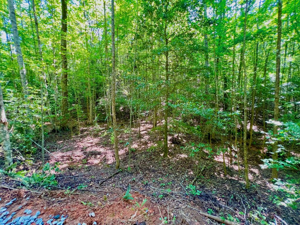 #2 Afton Road Property Photo 14