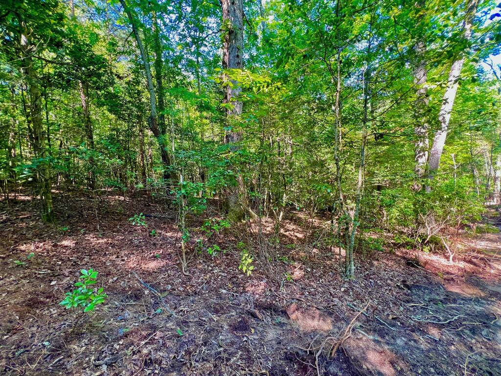 #2 Afton Road Property Photo 17