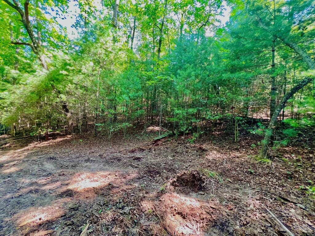 #2 Afton Road Property Photo 18