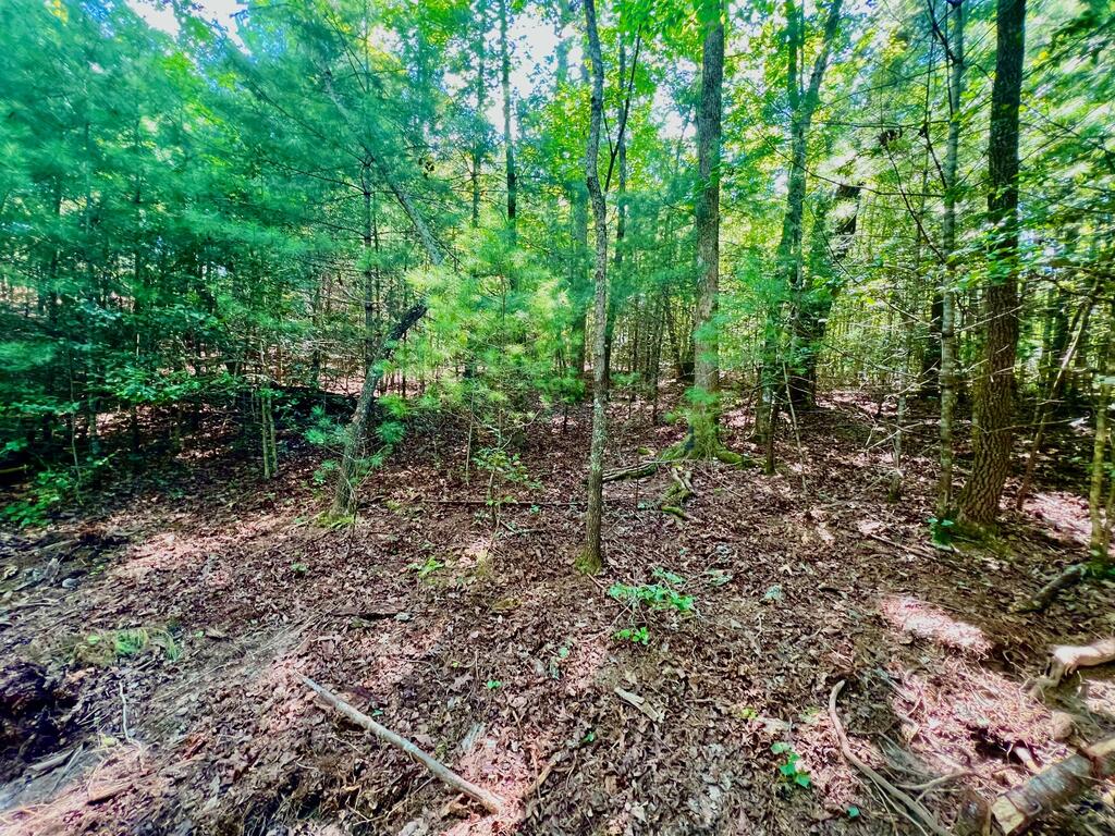 #2 Afton Road Property Photo 19