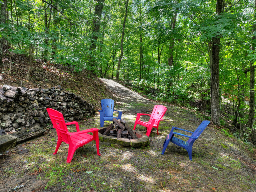 1579 Mangums Trail Property Photo 33