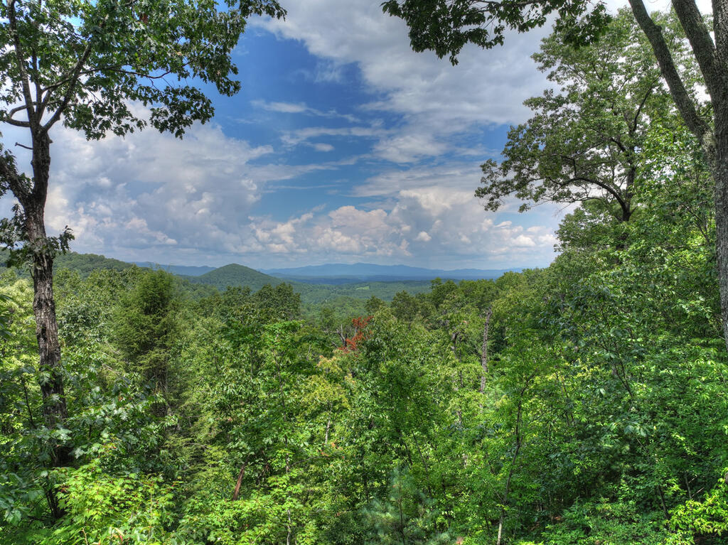 1579 Mangums Trail Property Photo 39