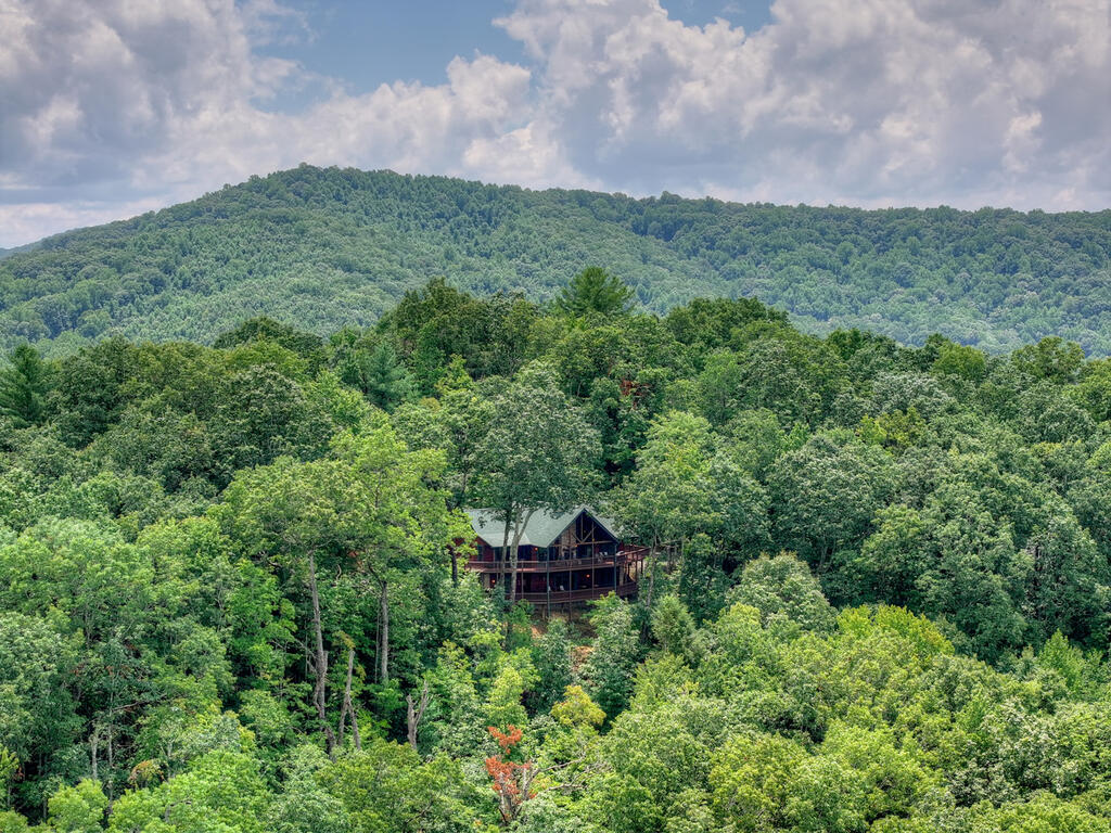 1579 Mangums Trail Property Photo 43