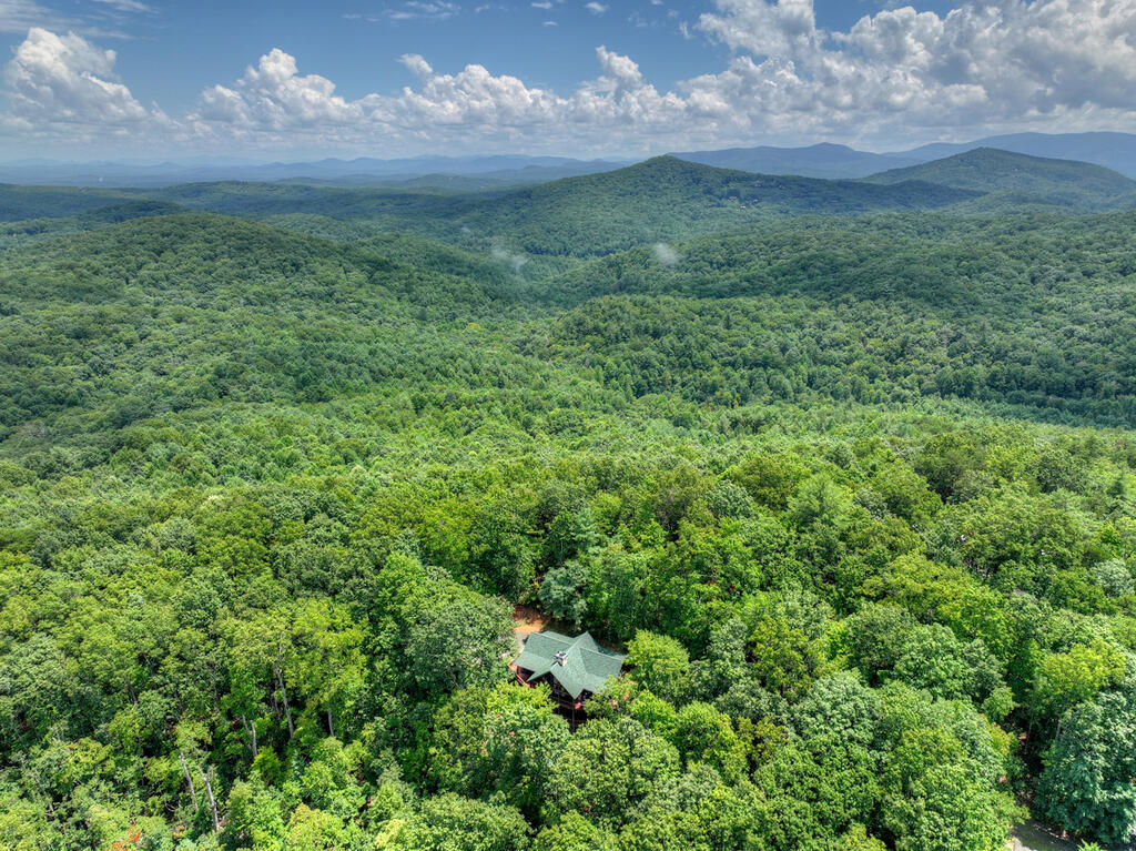 1579 Mangums Trail Property Photo 45