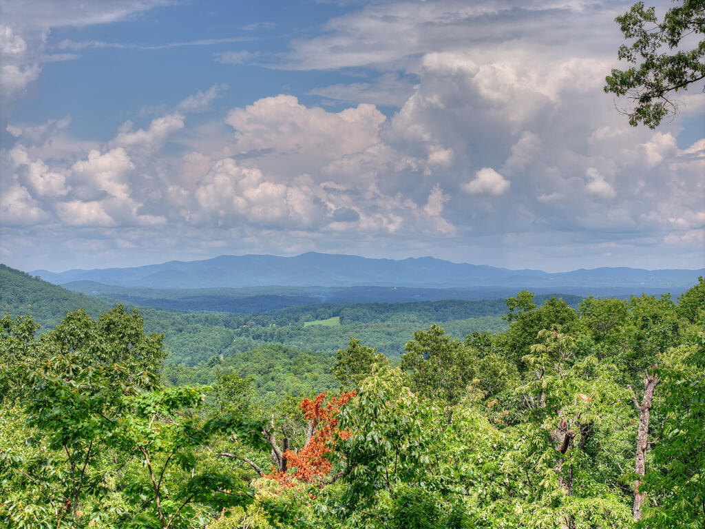 1579 Mangums Trail Property Photo 85
