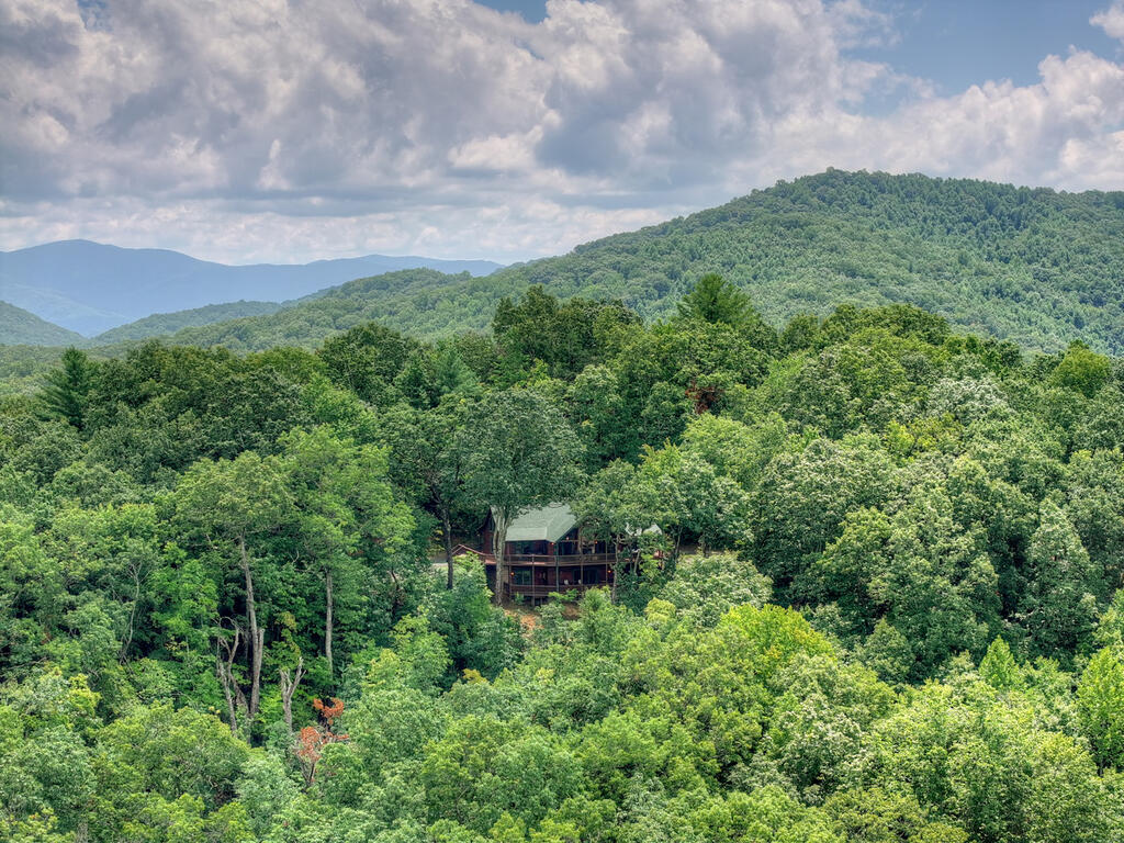 1579 Mangums Trail Property Photo 87