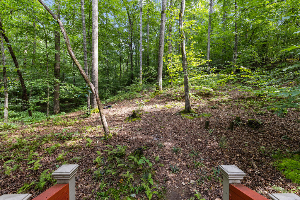 434 Lemmon Drive Property Photo 7