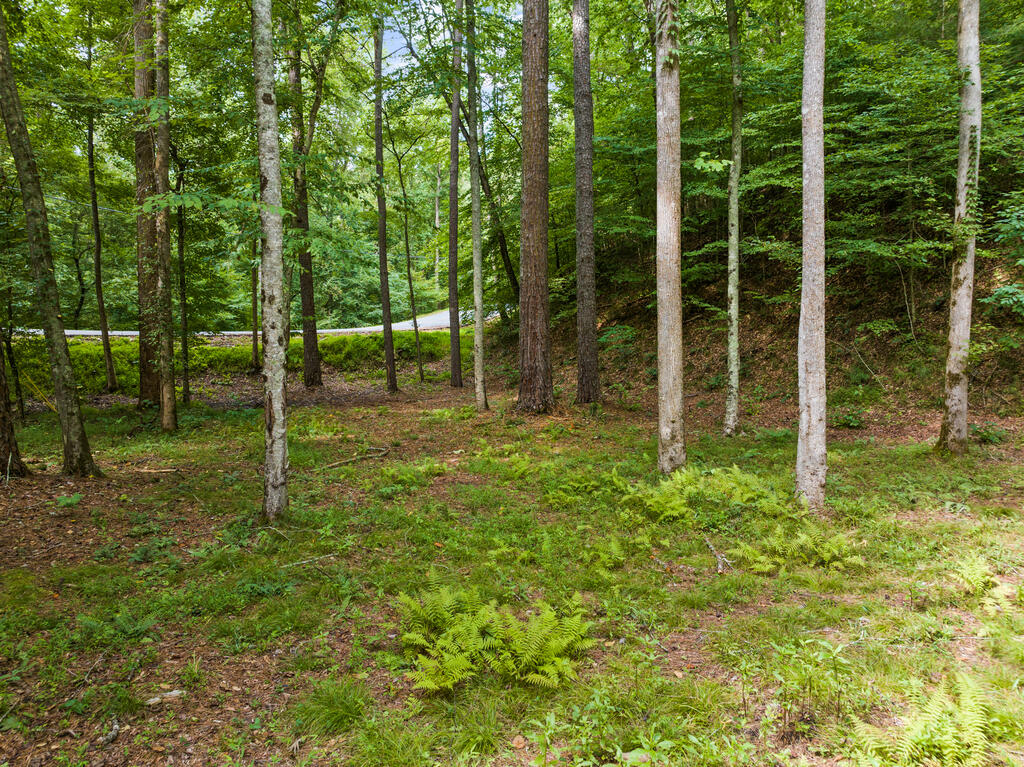 434 Lemmon Drive Property Photo 12