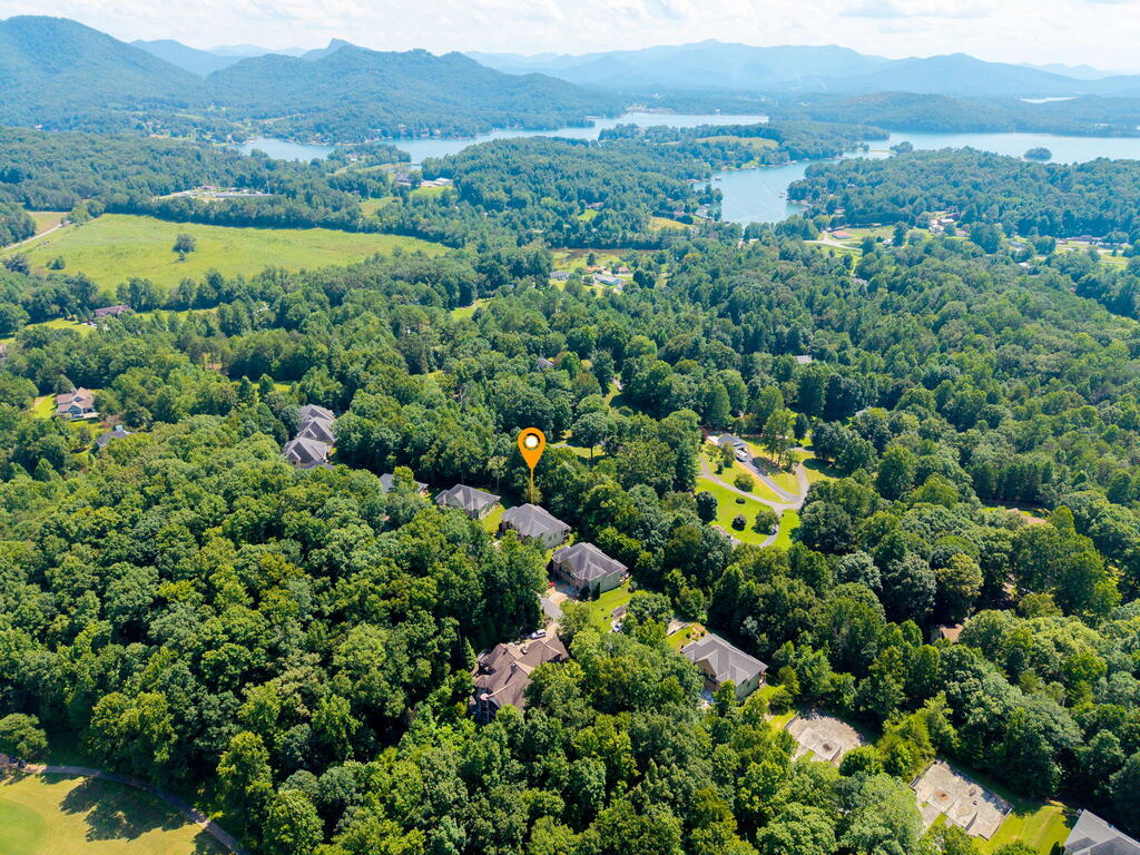 358 Licklog Ridge Property Photo 51