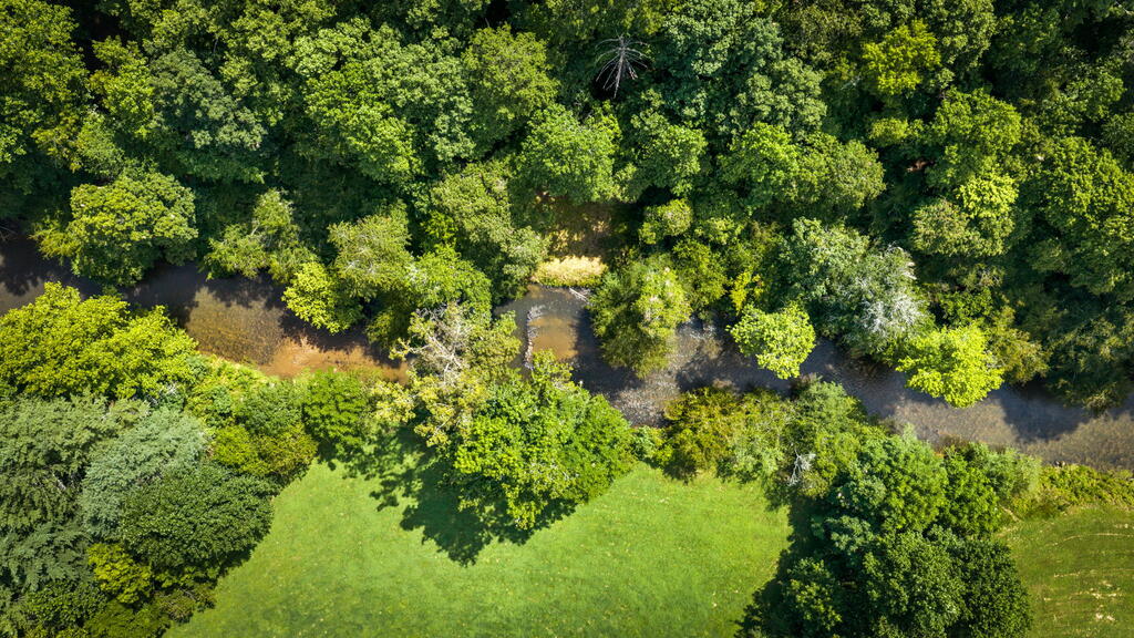 383 River Escape Drive Property Photo 14