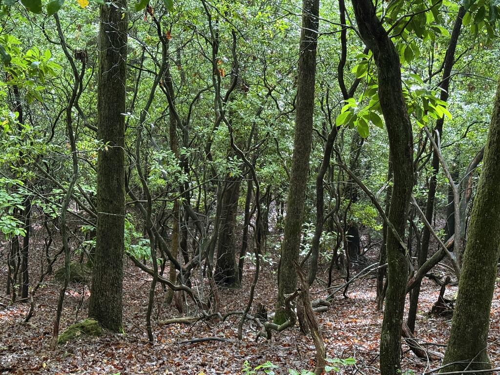 Lot 28 Atoah Loop Property Photo 1