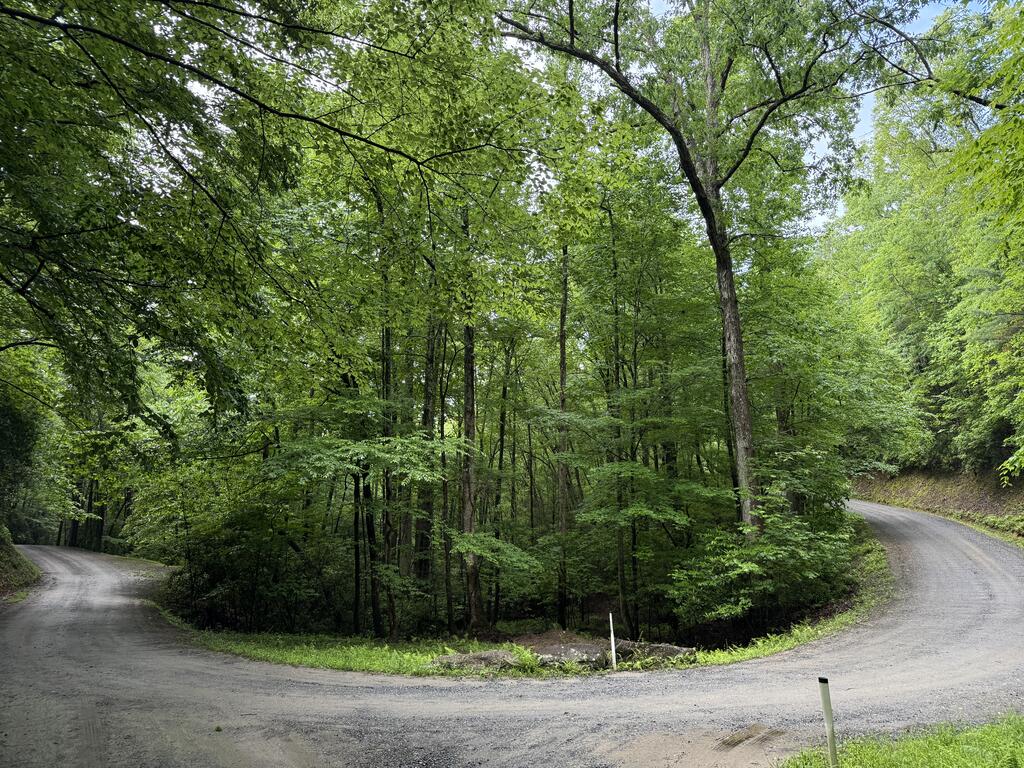 Lot 28 Atoah Loop Property Photo 4