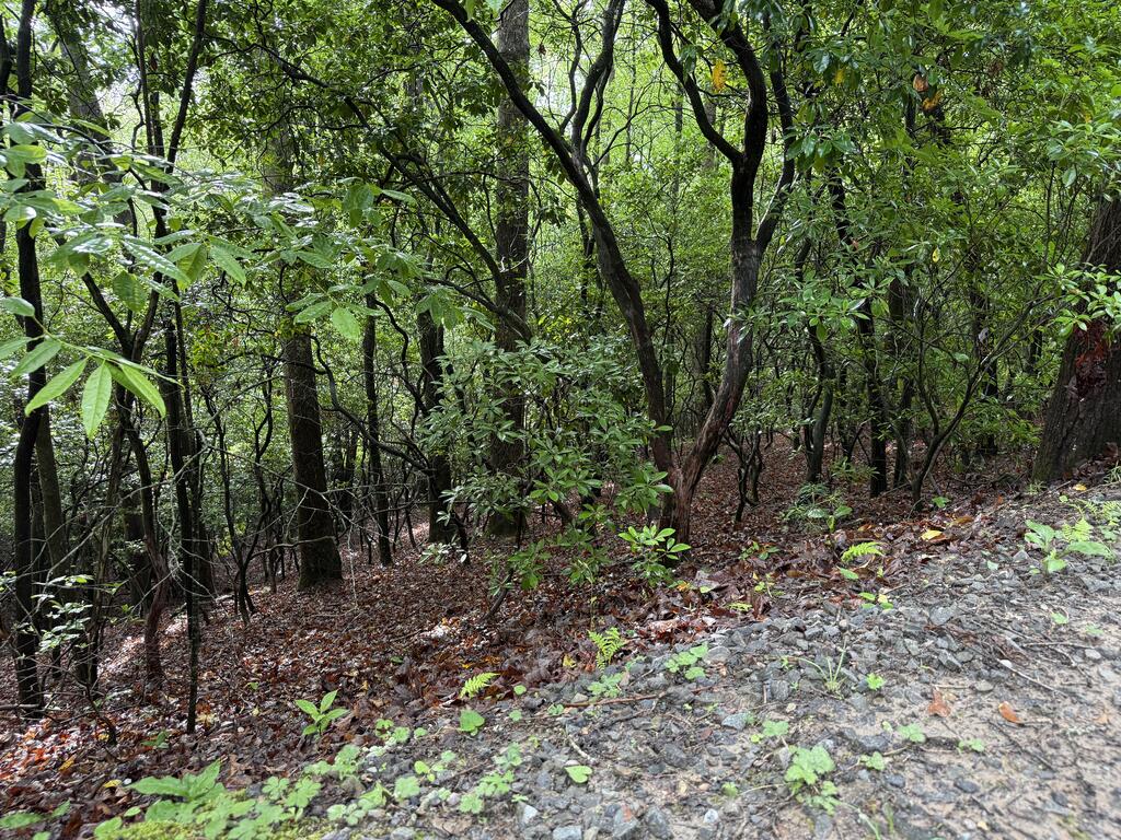 Lot 28 Atoah Loop Property Photo 5