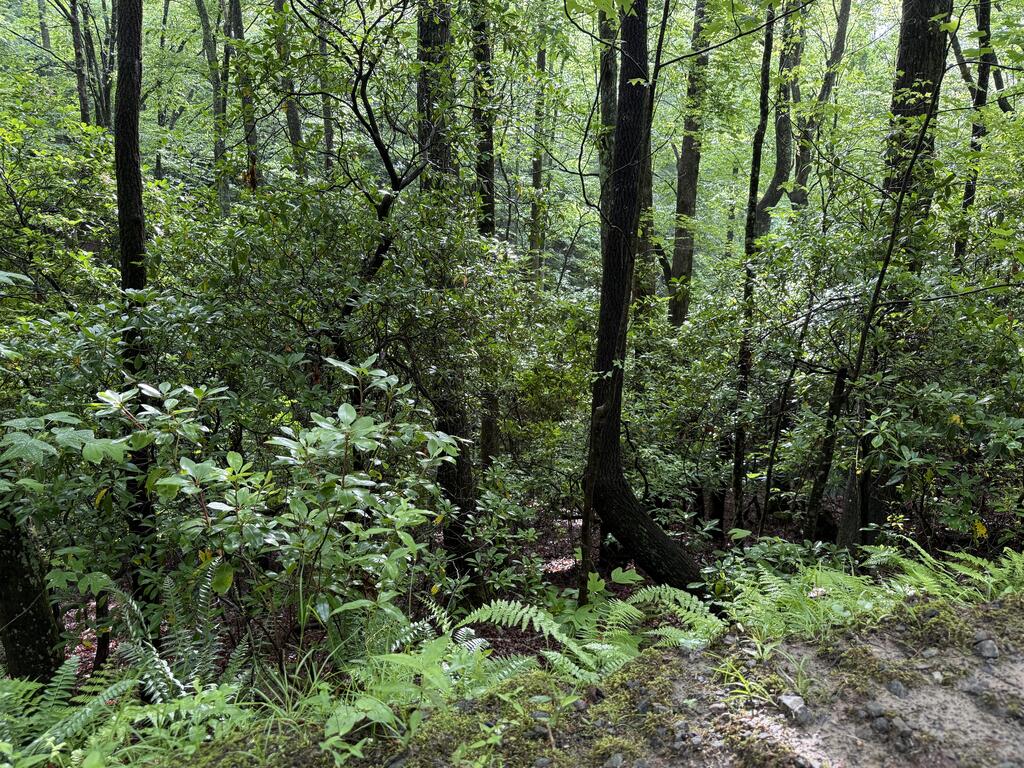 Lot 28 Atoah Loop Property Photo 7