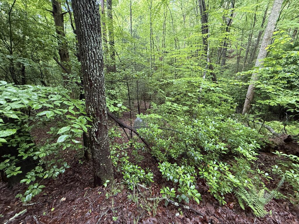 Lot 28 Atoah Loop Property Photo 9
