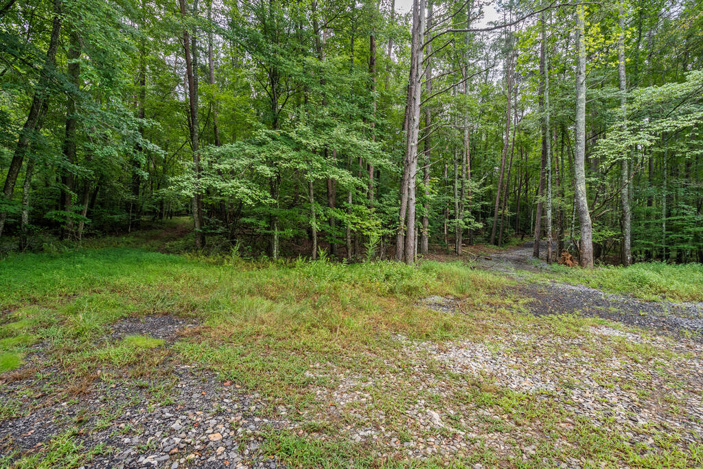 32 Raven Ridge Property Photo 9