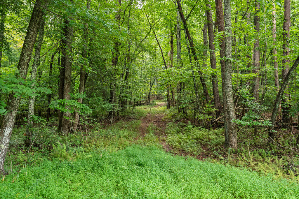 32 Raven Ridge Property Photo 10