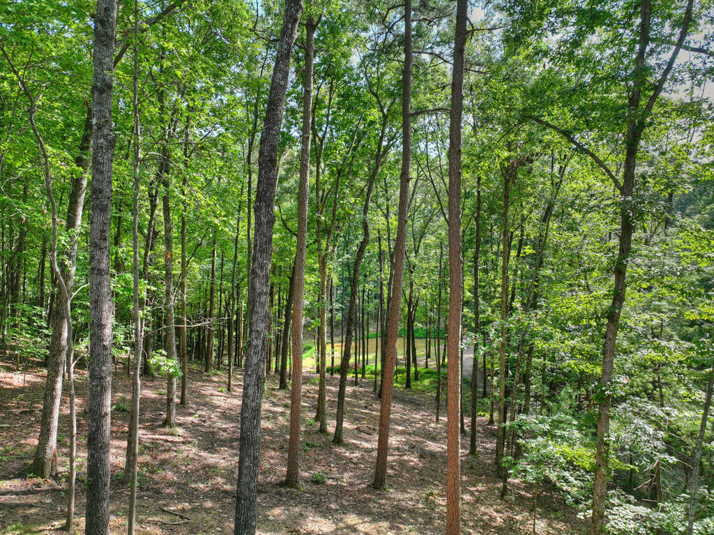 412 Mountain Tops Circle Property Photo 62