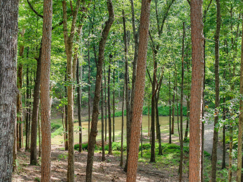 412 Mountain Tops Circle Property Photo 63