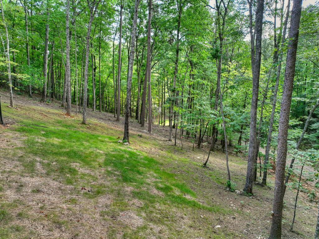 412 Mountain Tops Circle Property Photo 64