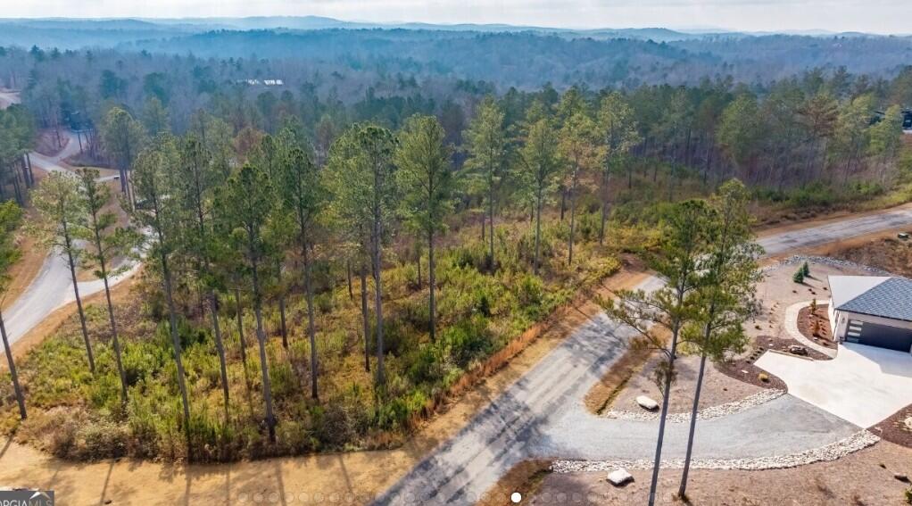 Lot 65 High River Landing Property Photo 2
