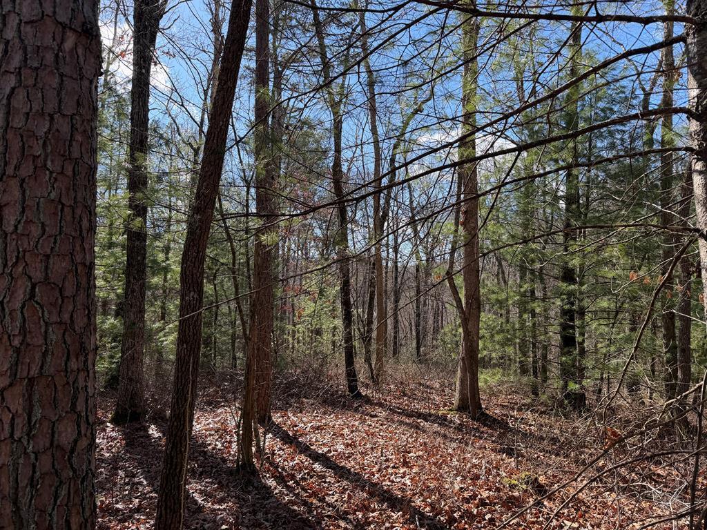 10A Yellow Maple Lane Property Photo 1