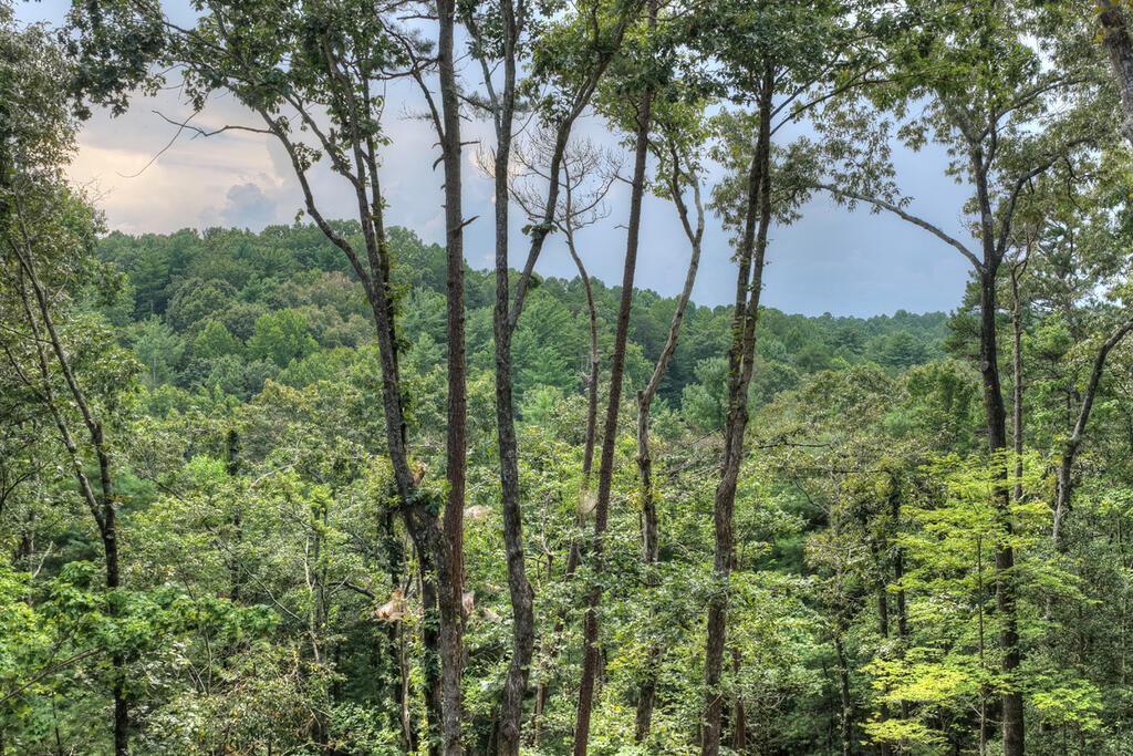 394 Blackberry Circle Property Photo 3