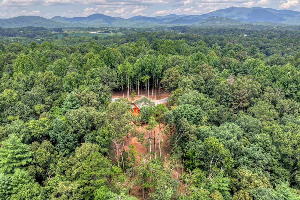 394 Blackberry Circle Property Photo 55