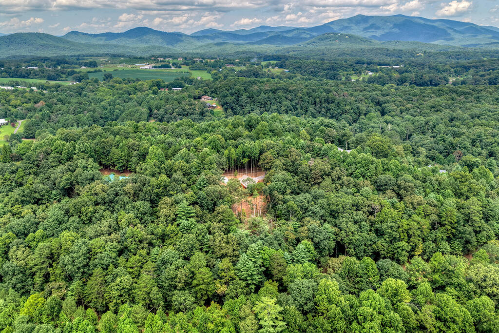 394 Blackberry Circle Property Photo 56