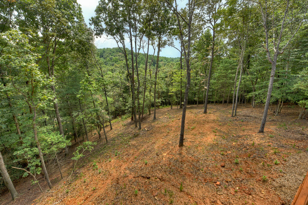 394 Blackberry Circle Property Photo 59