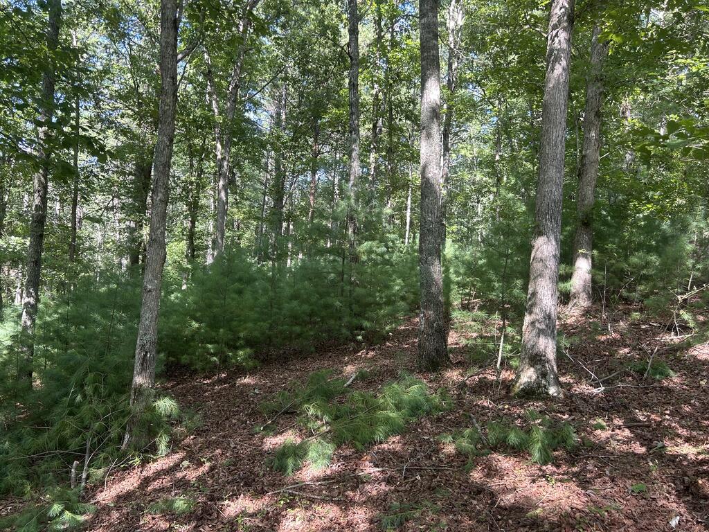 Lt 62 Harmony Way Property Photo 2