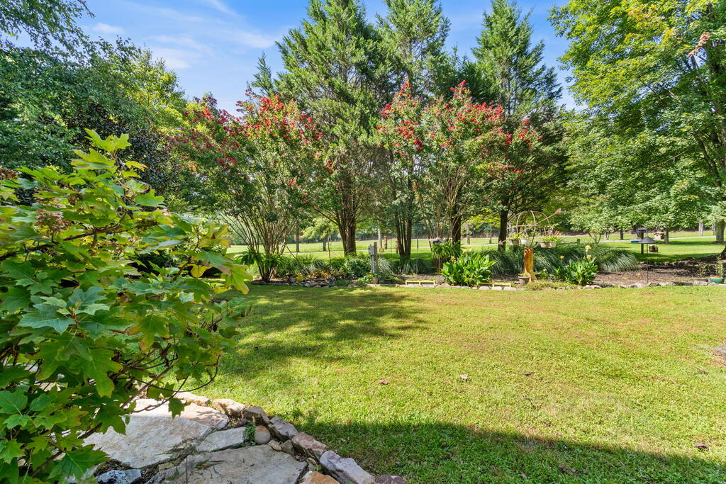 322 Theron Mccray Road Property Photo 58