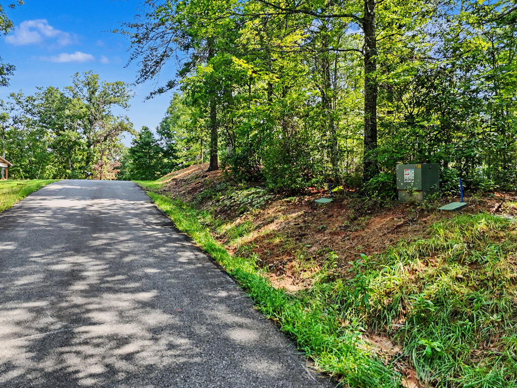 Lot 11 Brasstown Trails Property Photo 6