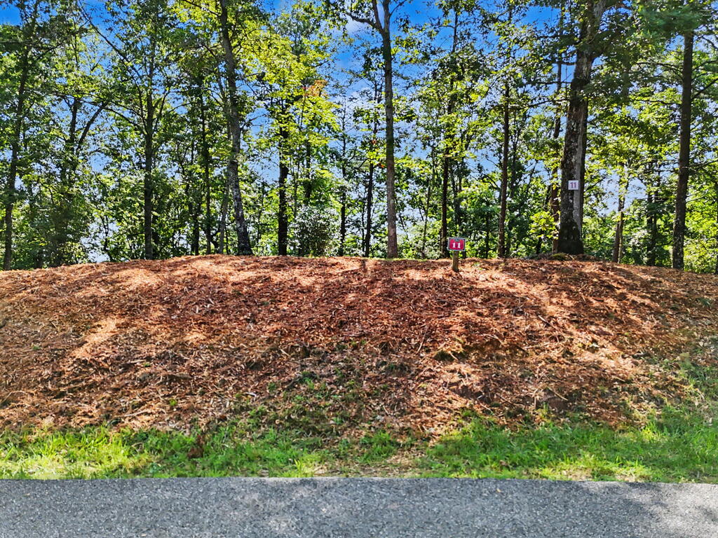 Lot 11 Brasstown Trails Property Photo 7