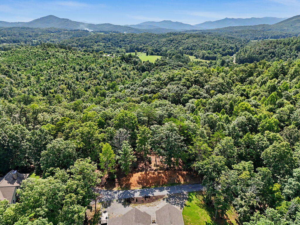 Lot 11 Brasstown Trails Property Photo 8