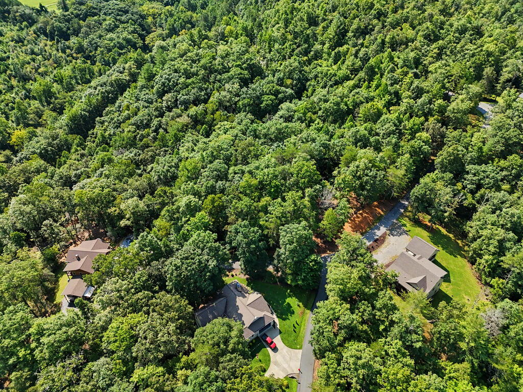 Lot 11 Brasstown Trails Property Photo 9