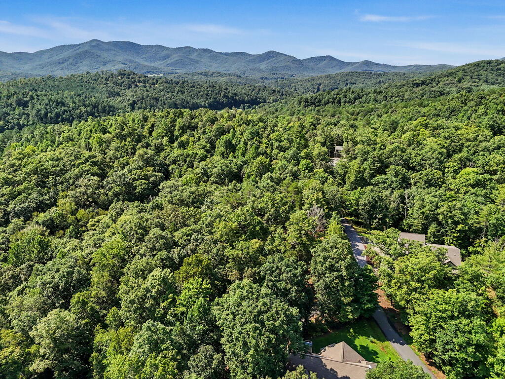 Lot 11 Brasstown Trails Property Photo 10