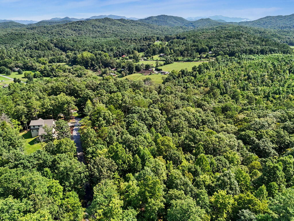 Lot 11 Brasstown Trails Property Photo 11