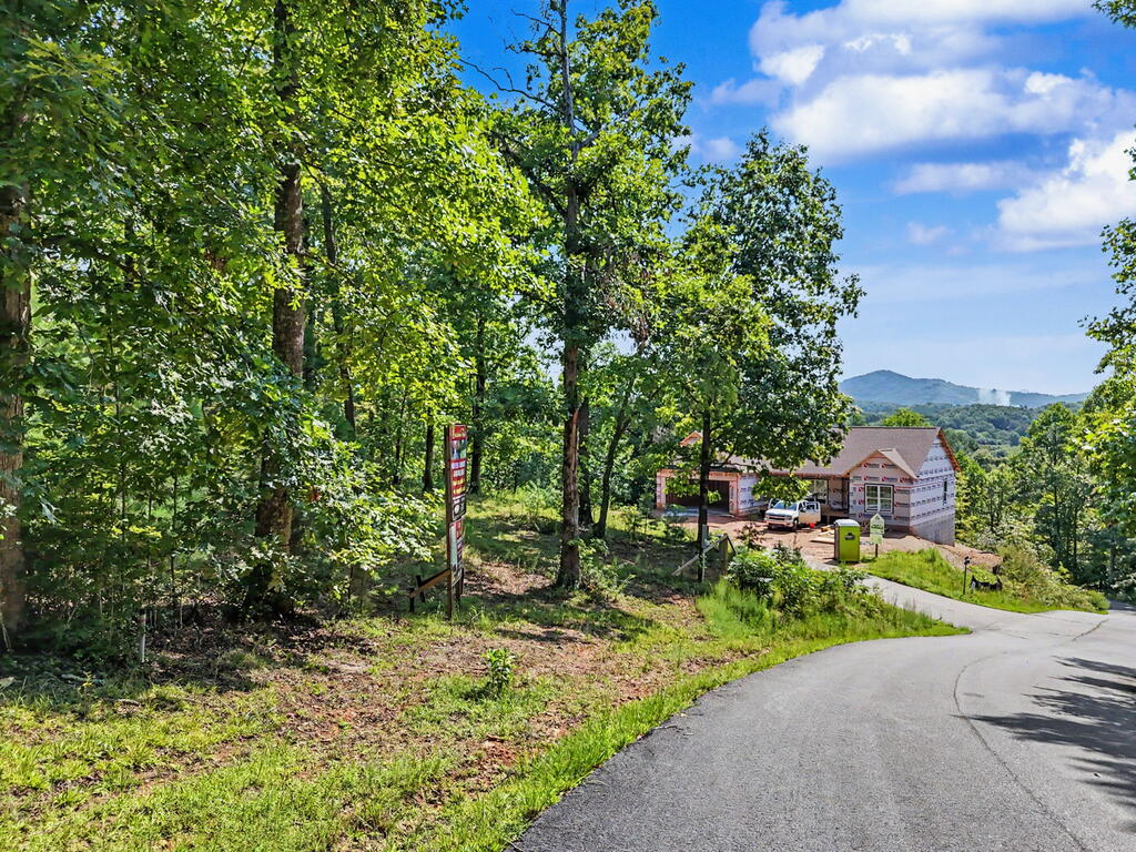 Lot 2 Brasstown Trails Property Photo 2