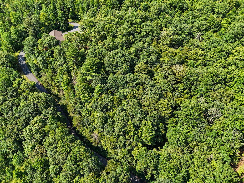 Lot 2 Brasstown Trails Property Photo 4