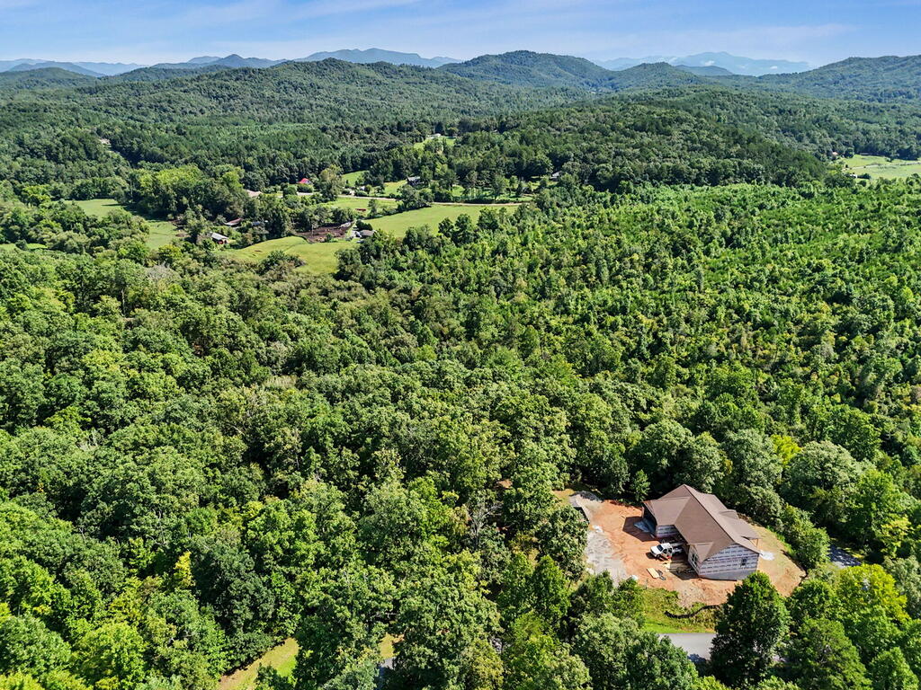 Lot 2 Brasstown Trails Property Photo 5