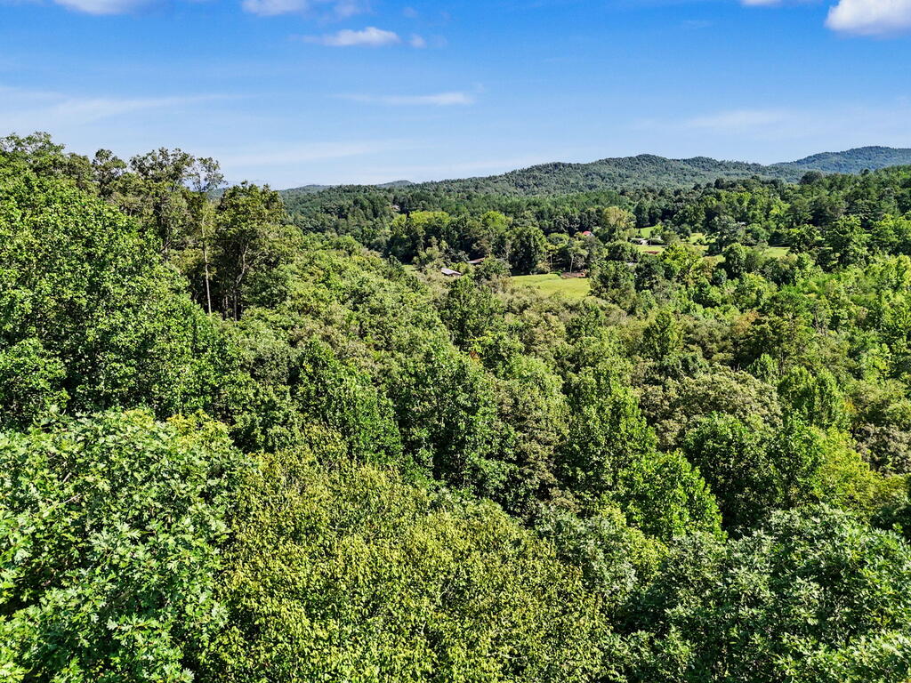 Lot 2 Brasstown Trails Property Photo 6